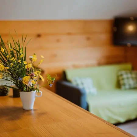 Apartmany Velke Karlovice Гостевой дом Вельке-Карловице