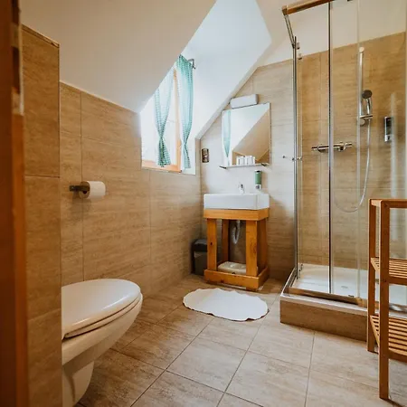 Apartmany Velke Karlovice Gæstehus 3*