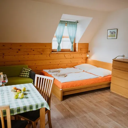 Apartmany Velke Karlovice Gæstehus Velké Karlovice