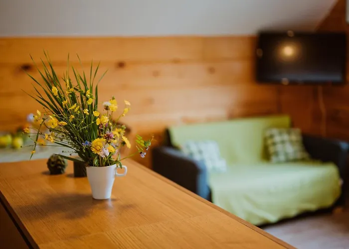 Apartmany Velke Karlovice Gasthuis Velké Karlovice