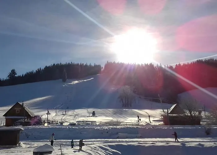 Apartmany Velke Karlovice Gasthuis 3*